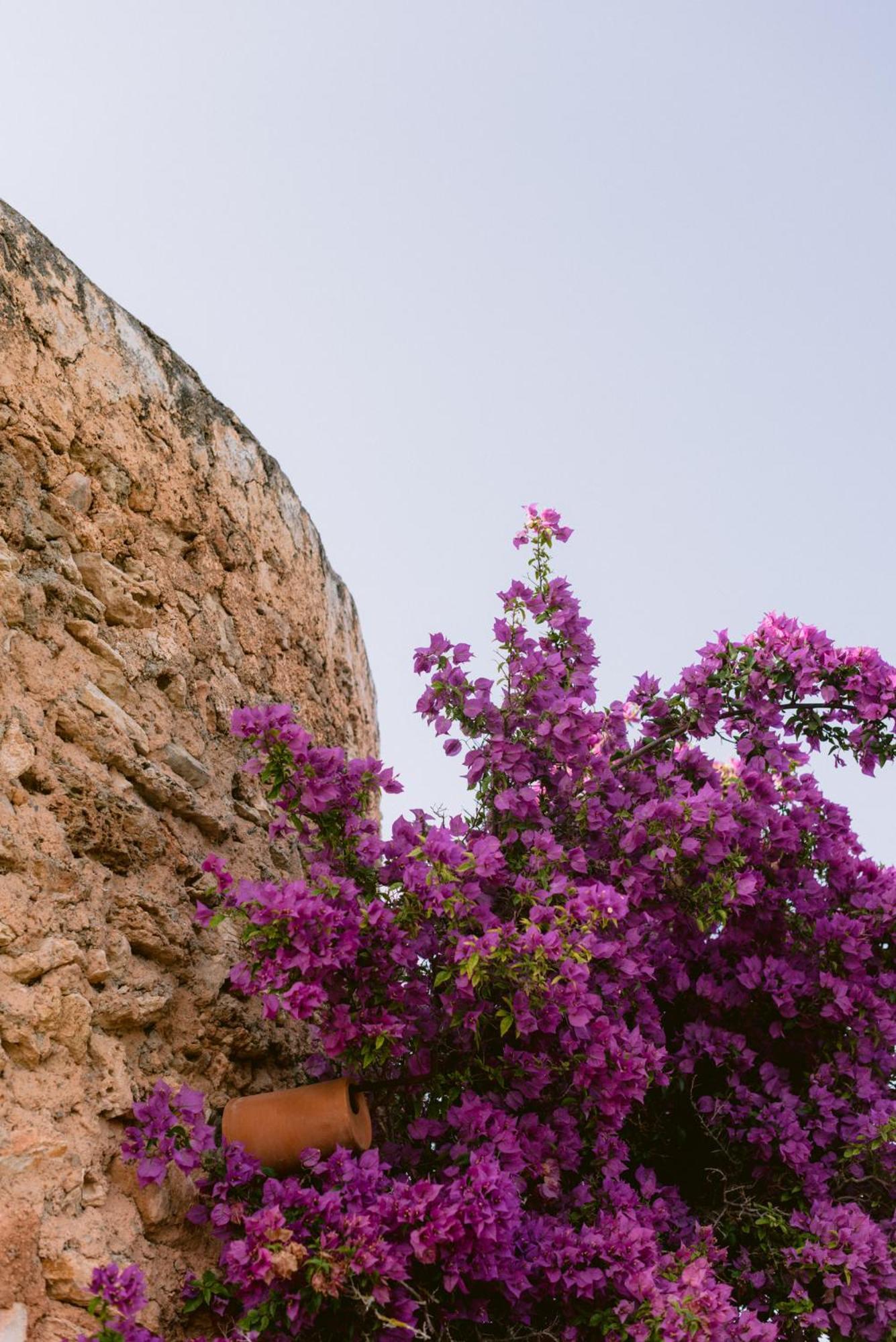 Can Quince Balafia Ibiza Hotel - Turismo De Interior Sant Llorenc de Balafia Bagian luar foto